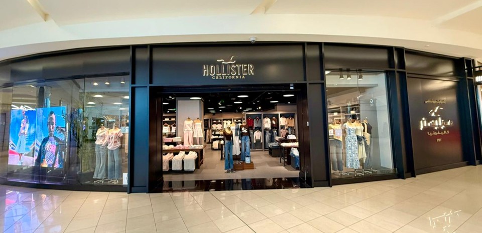 Hero Section for Hollister
